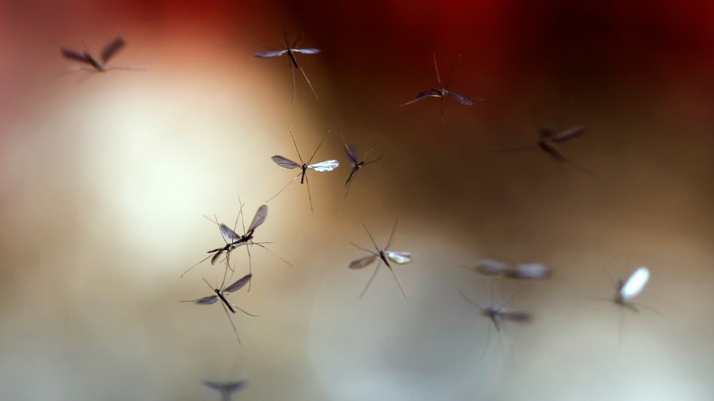 Myggfångare bäst i test - se testvinnande myggfångare.